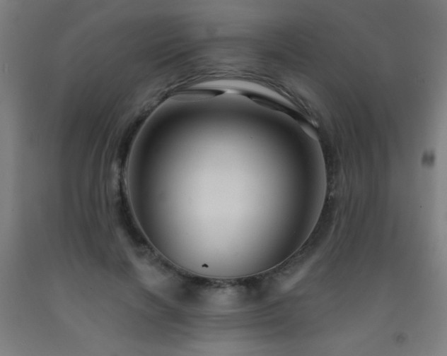 X0000093260646200709261732