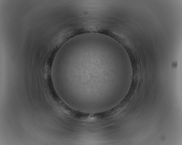 X0000093260647200709261732