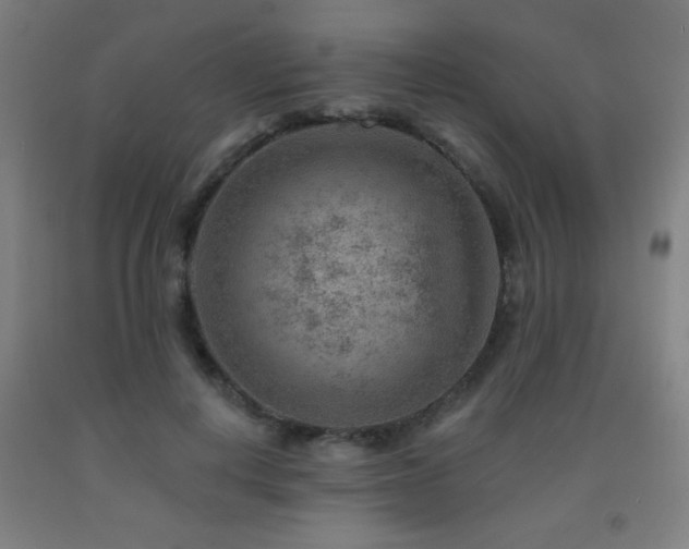 X0000093260648200709261732