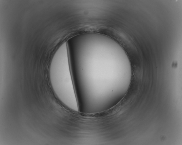 X0000093260649200709261732