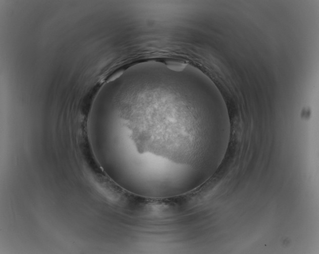 X0000093260650200709261732