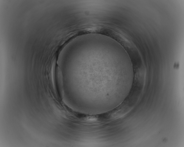X0000093260651200709261732