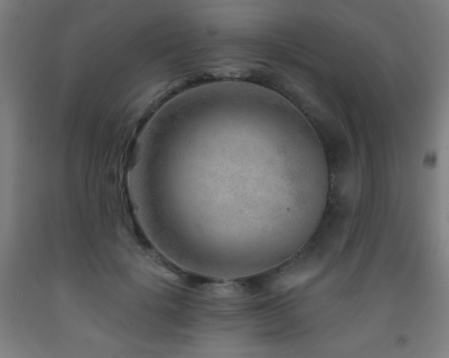 X0000093260652200709261732