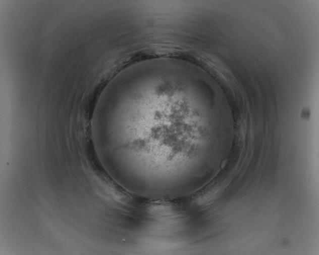 X0000093260653200709261732