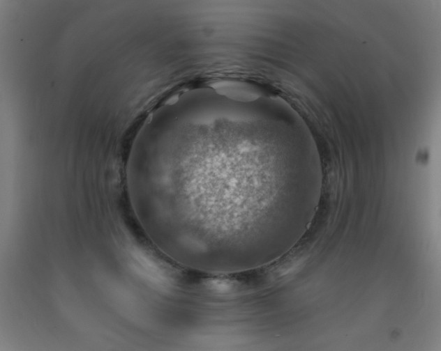 X0000093260654200709261732