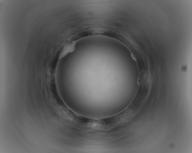 X0000093260655200709261732