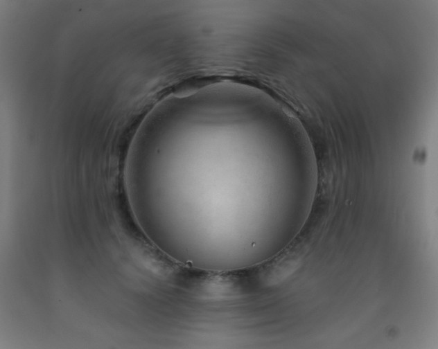 X0000093260656200709261732