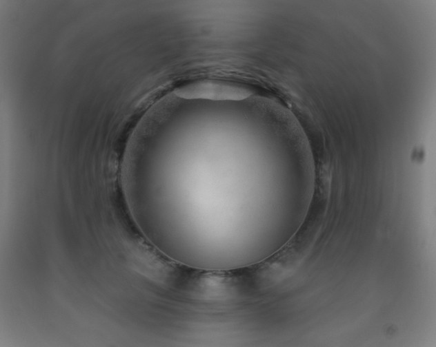 X0000093260657200709261732