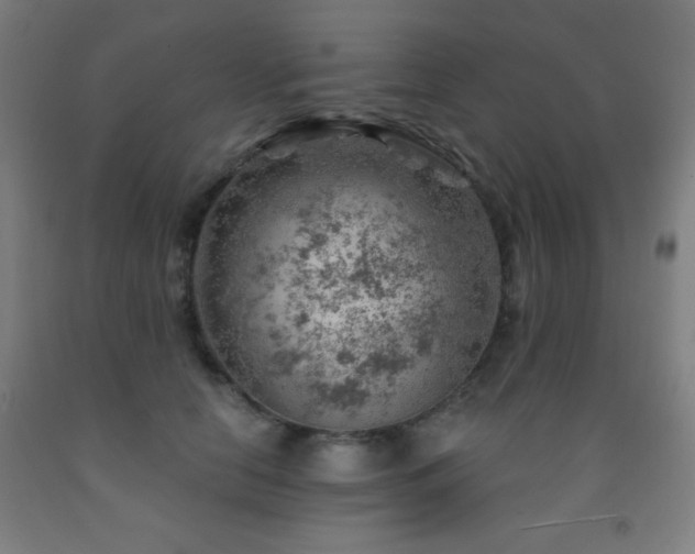 X0000093260658200709261732