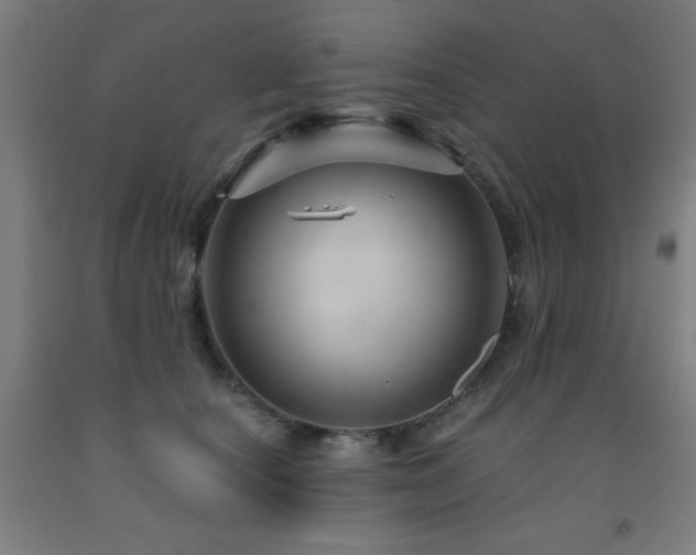 X0000093260660200709261732