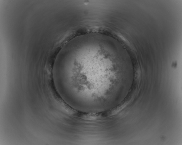 X0000093260661200709261732