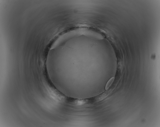 X0000093260662200709261732