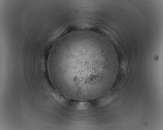 X0000093260663200709261732
