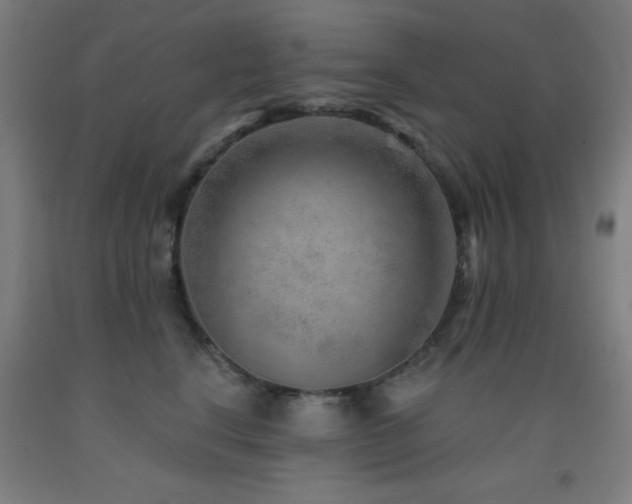 X0000093260664200709261732