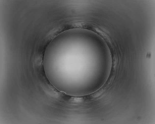 X0000093260665200709261732