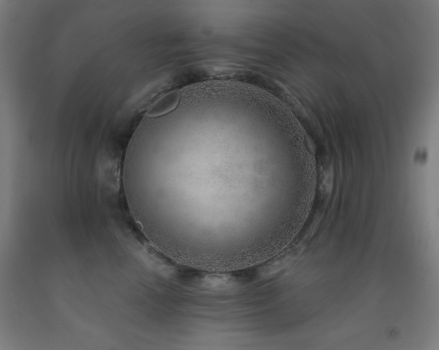X0000093260666200709261732