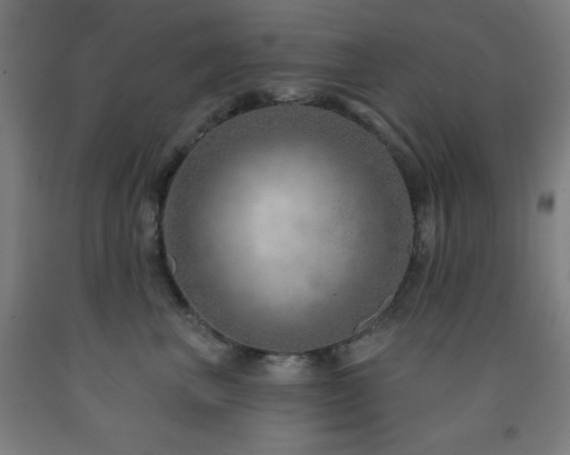 X0000093260667200709261732