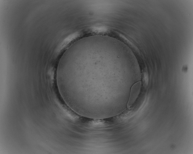 X0000093260668200709261732