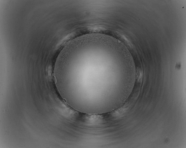 X0000093260670200709261733