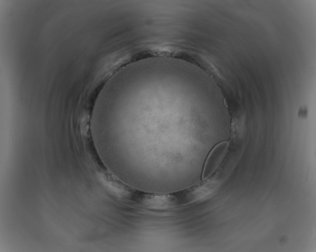 X0000093260671200709261733