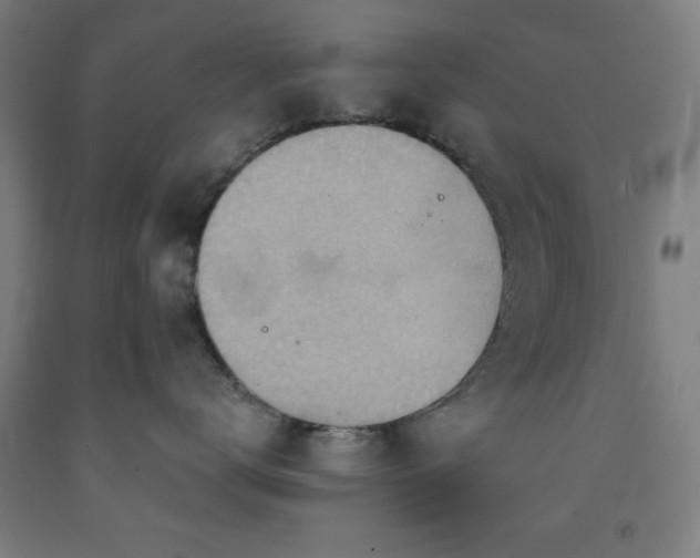 X0000093260672200709261733