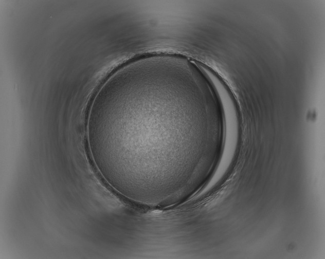 X0000093260673200709261732
