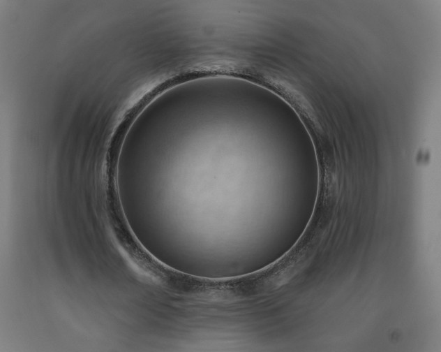 X0000093260674200709261732