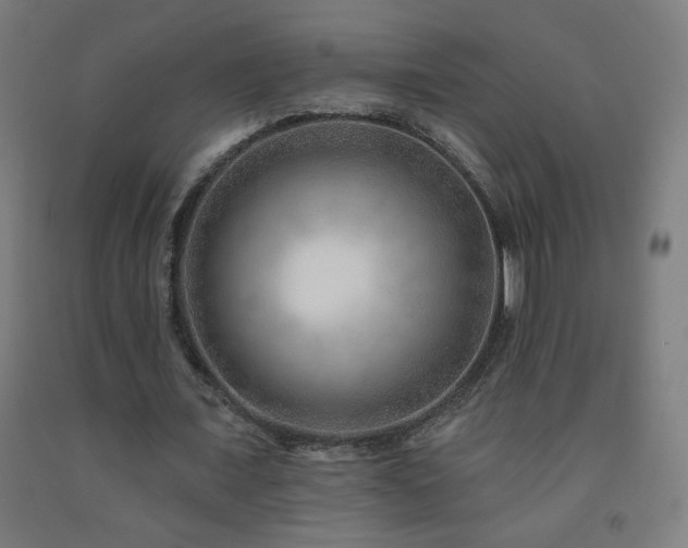 X0000093260675200709261732