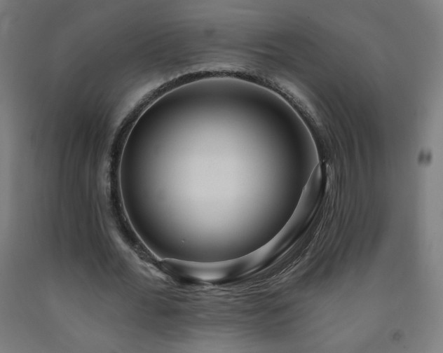 X0000093260676200709261732