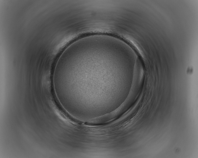 X0000093260677200709261732