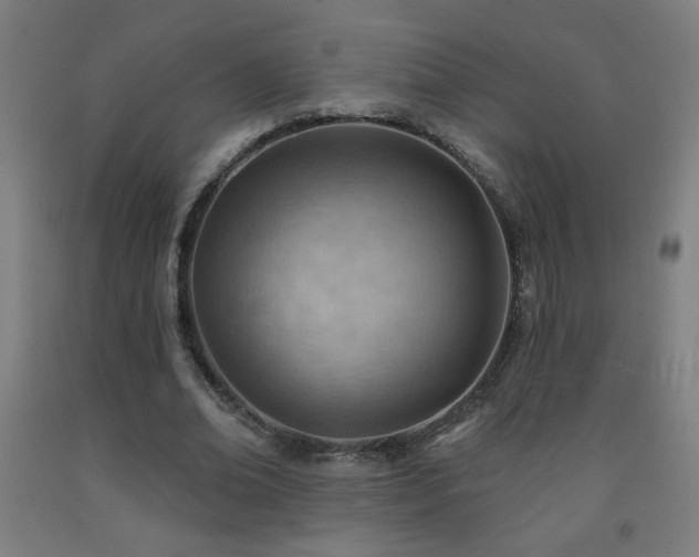 X0000093260678200709261732