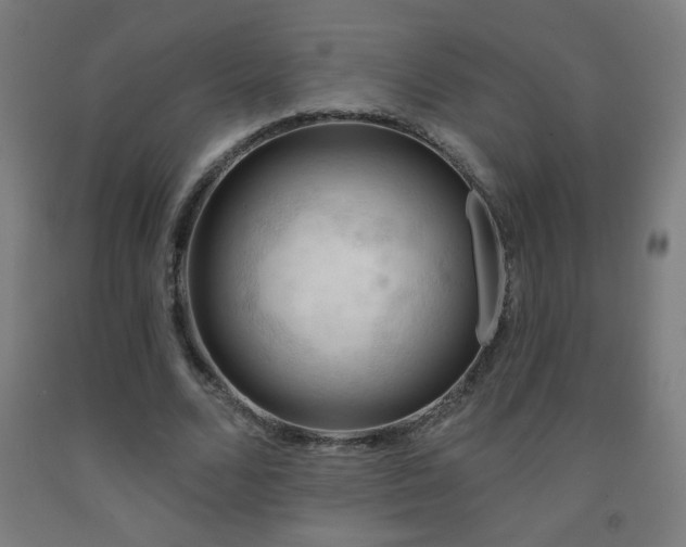 X0000093260680200709261732