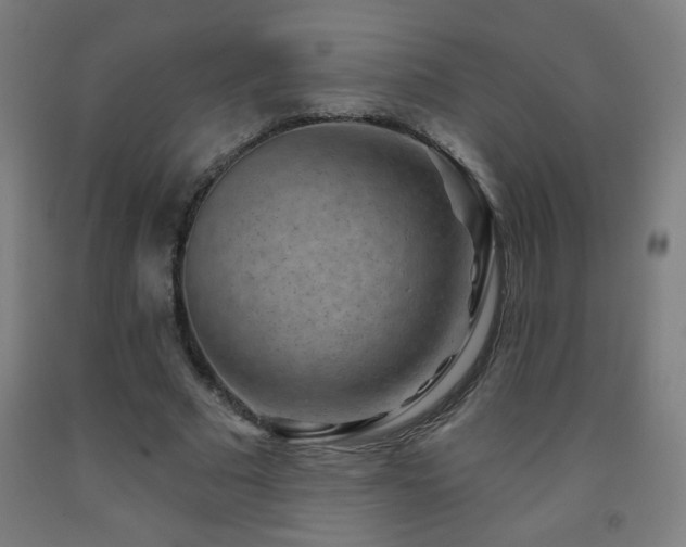 X0000093260681200709261732