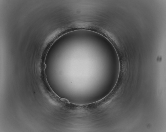 X0000093260682200709261732