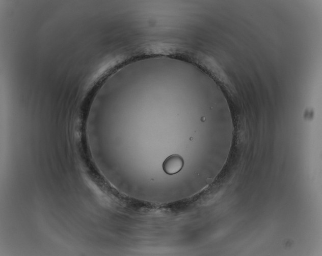 X0000093260683200709261732