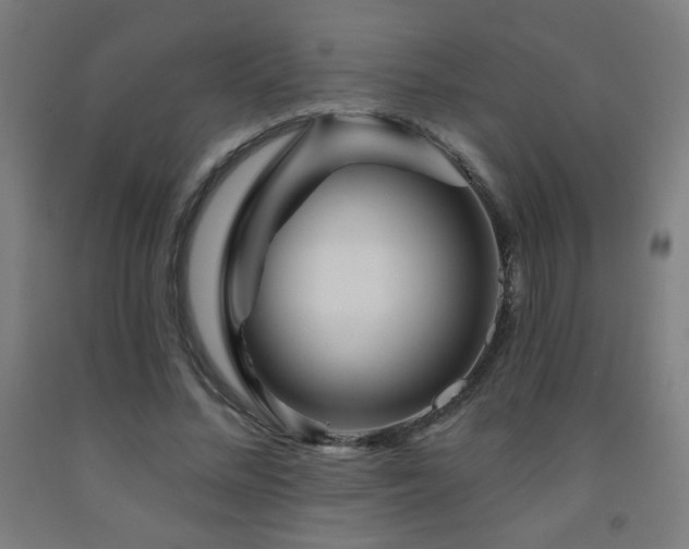 X0000093260684200709261732