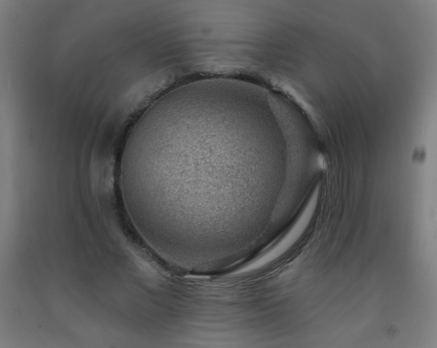 X0000093260685200709261732