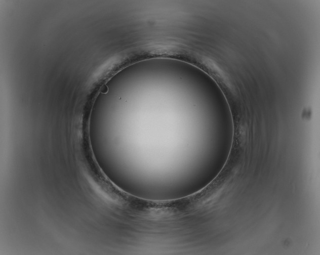 X0000093260686200709261732