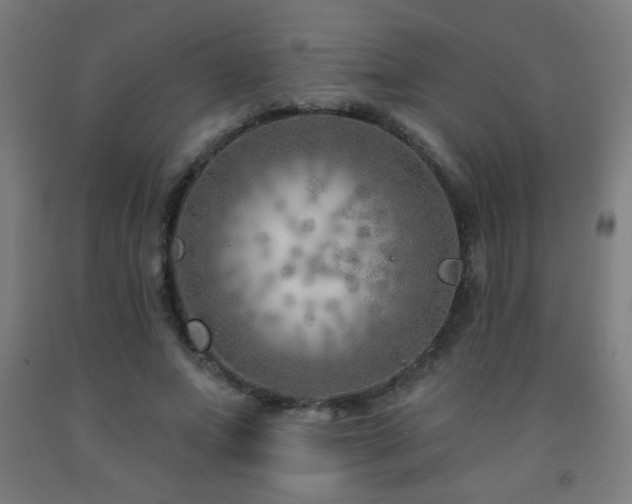 X0000093260687200709261732