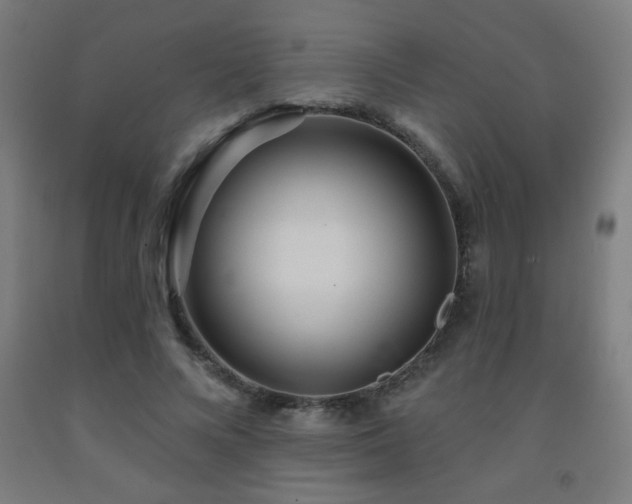 X0000093260688200709261732