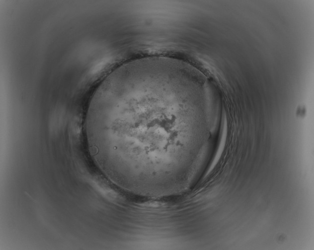 X0000093260691200709261732