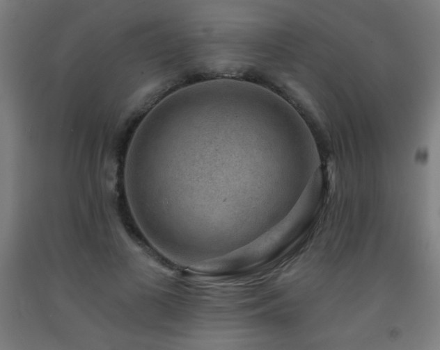 X0000093260693200709261732