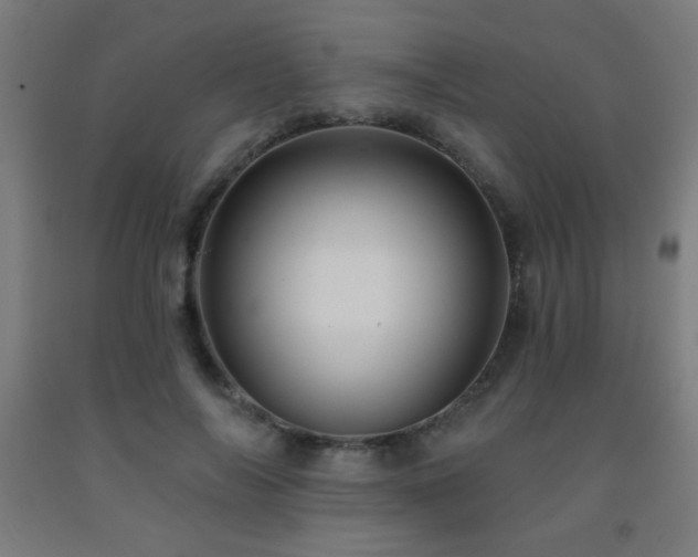 X0000093260694200709261732