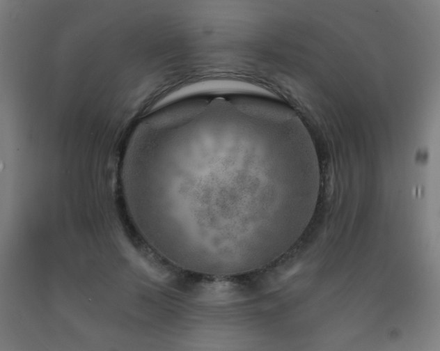 X0000093260695200709261732