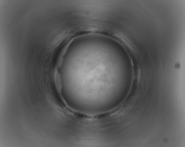 X0000093260696200709261732