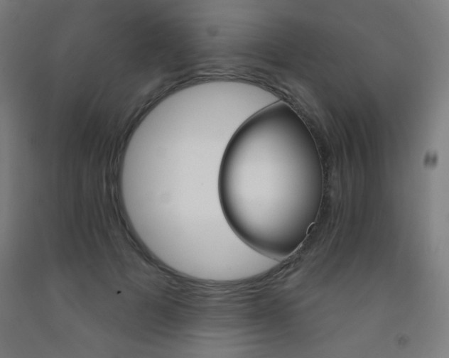 X0000093260697200709261732