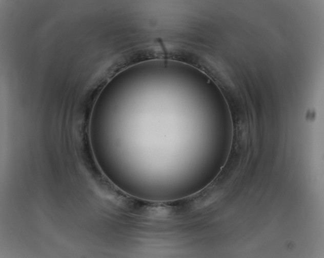 X0000093260698200709261732