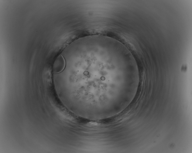 X0000093260699200709261732