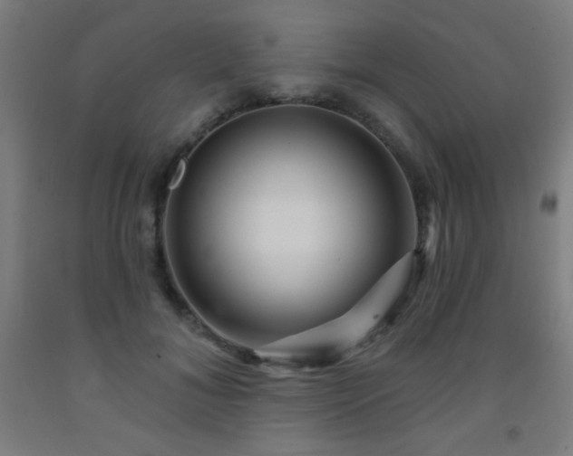 X0000093260700200709261732