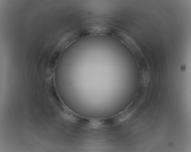 X0000093260701200709261732